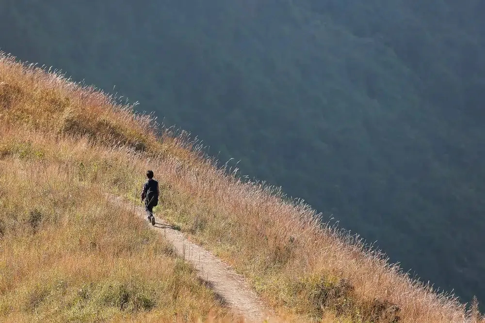 2. The Importance of Detailing