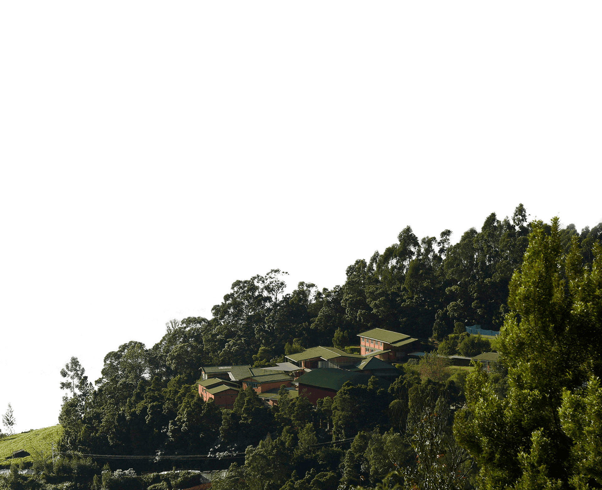 About us BG view.png