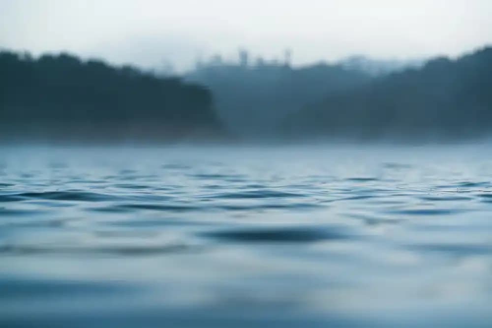 Blue: The Cool Comfort of Tranquility