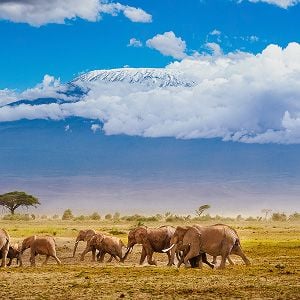 Raj-LLA Website5.jpg