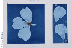 Printing with Sunlight