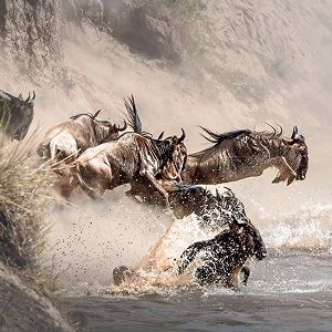 Screenshot 2025-11-28-.jpg