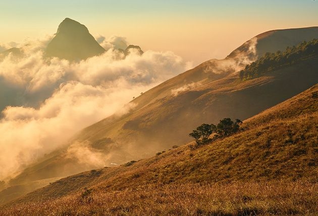 PG Diploma in Travel and Nature Photography & Videography