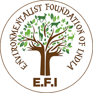 EFI