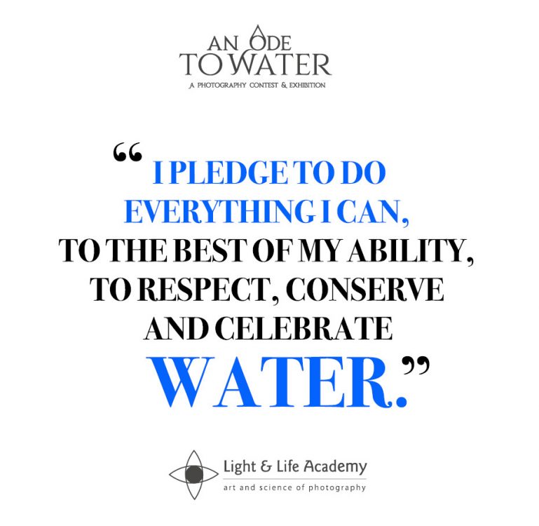 pledge Light and Life Academy