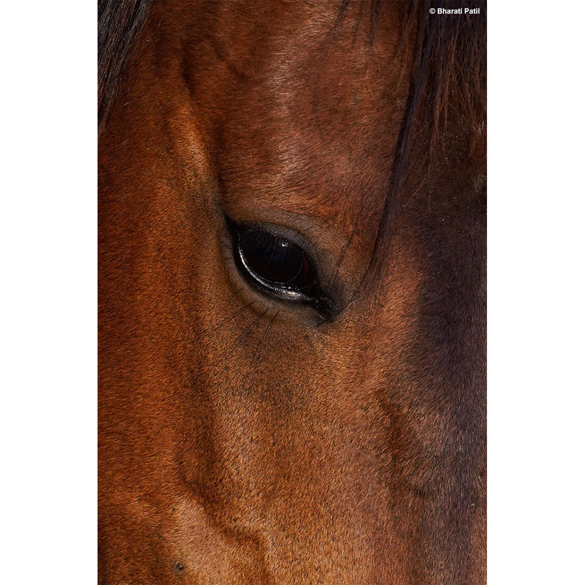 Best Photography Images of Intro to 35mm photography workshop