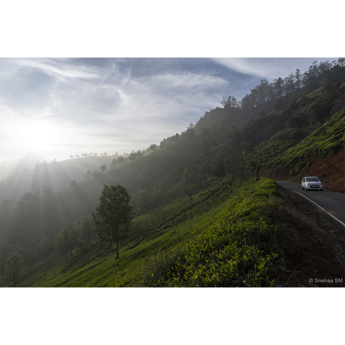 Best Photography Images of Intro to 35mm photography workshop