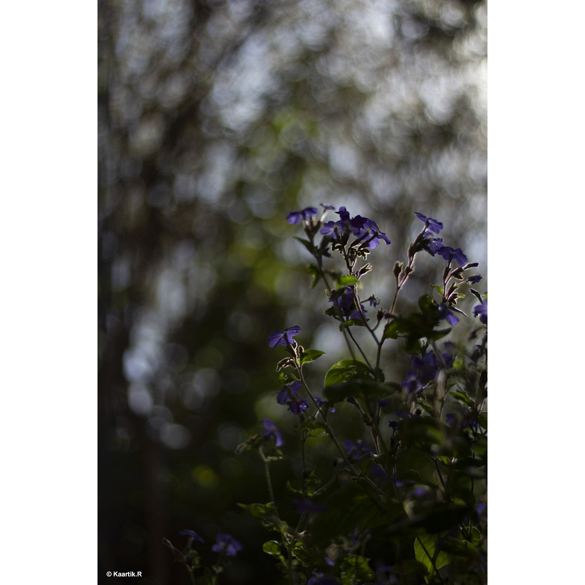 Best Photography Images of Intro to 35mm photography workshop