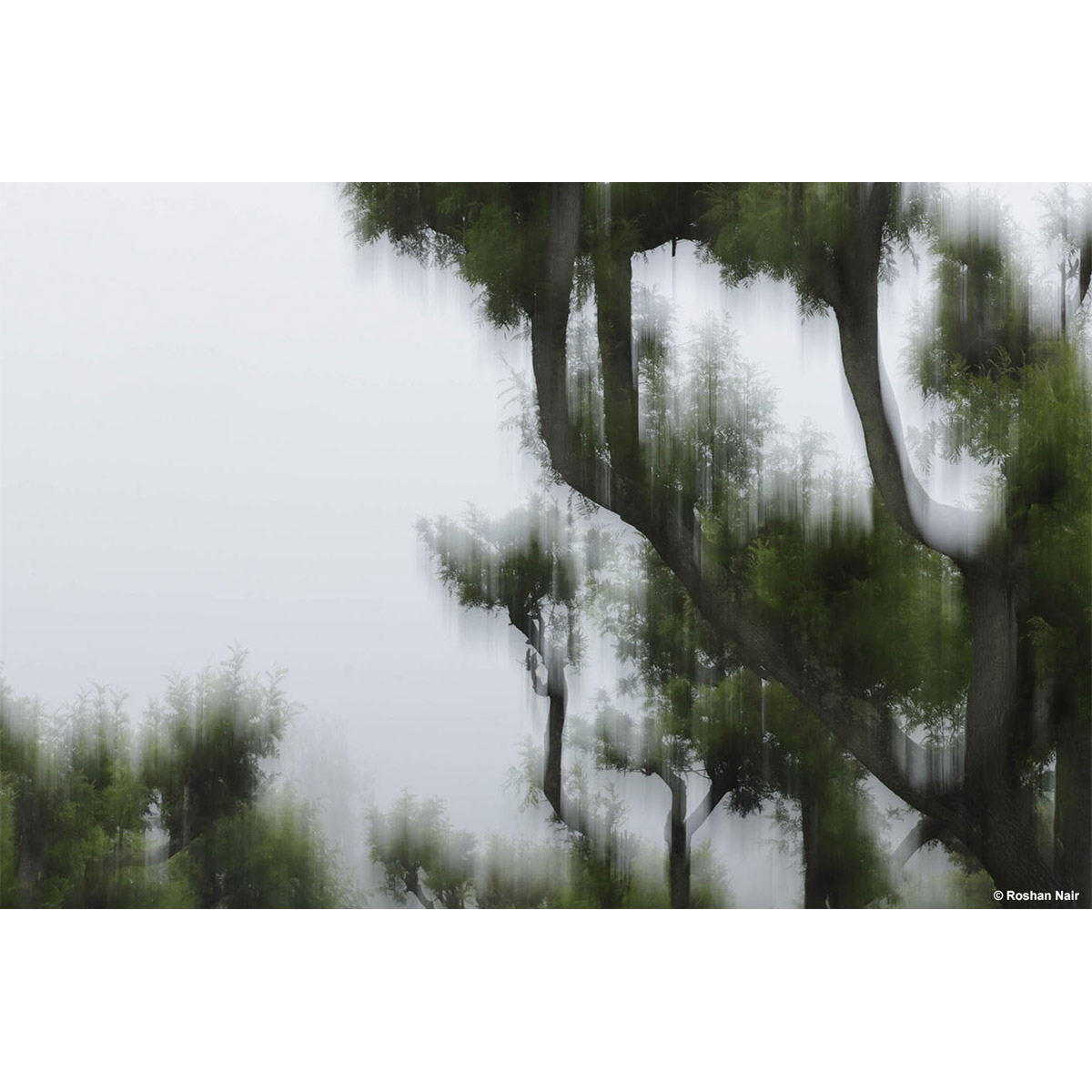 Best Photography Images of Intro to 35mm photography workshop